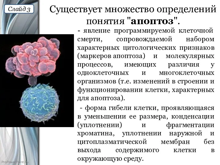 Существует множество определений понятия "апоптоз". - явление программируемой клеточной смерти,