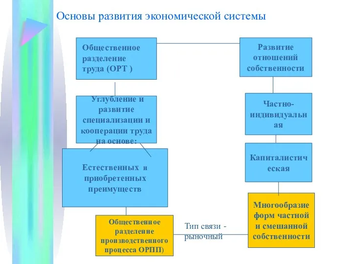 Основы развития экономической системы Углубление и развитие специализации и кооперации