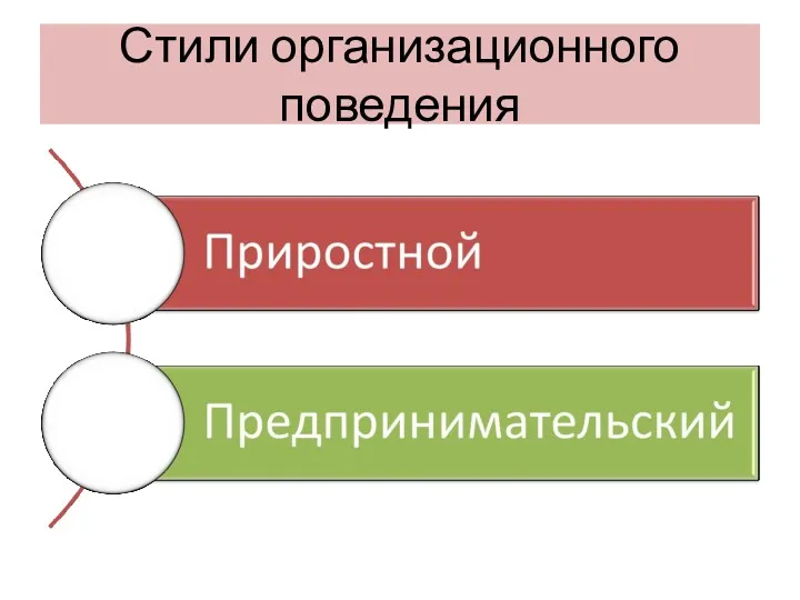 Стили организационного поведения