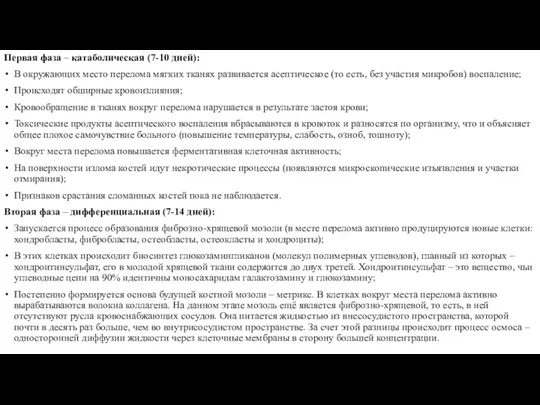 Первая фаза – катаболическая (7-10 дней): В окружающих место перелома