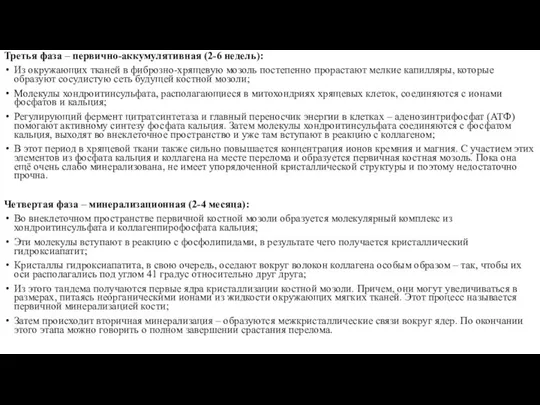 Третья фаза – первично-аккумулятивная (2-6 недель): Из окружающих тканей в