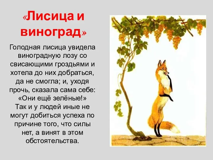 «Лисица и виноград» Голодная лисица увидела виноградную лозу со свисающими гроздьями и хотела