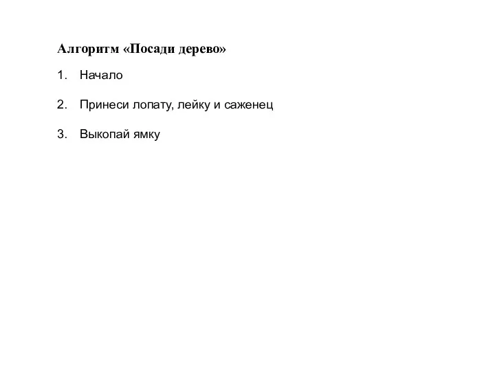 Алгоритм «Посади дерево» Начало Принеси лопату, лейку и саженец Выкопай ямку