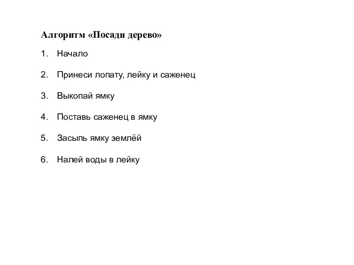 Алгоритм «Посади дерево» Начало Принеси лопату, лейку и саженец Выкопай