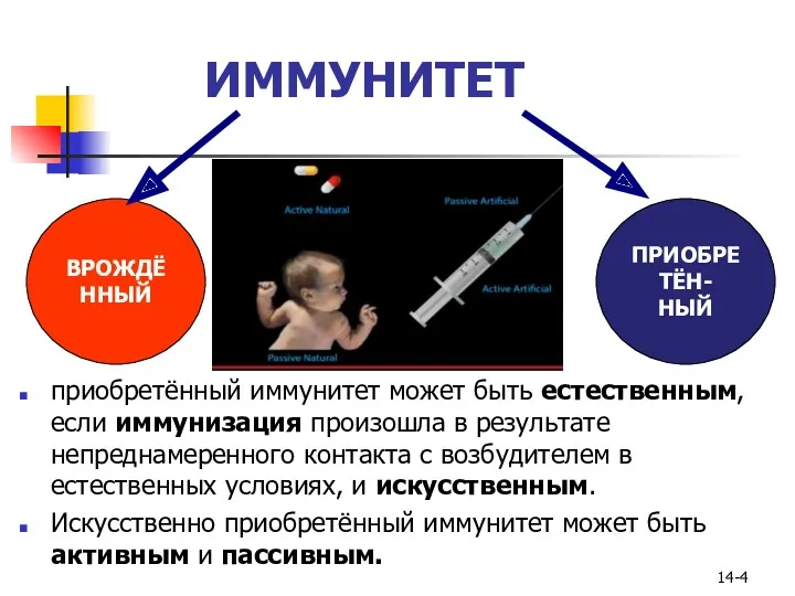 ИММУНИТЕТ приобретённый иммунитет может быть естественным, если иммунизация произошла в