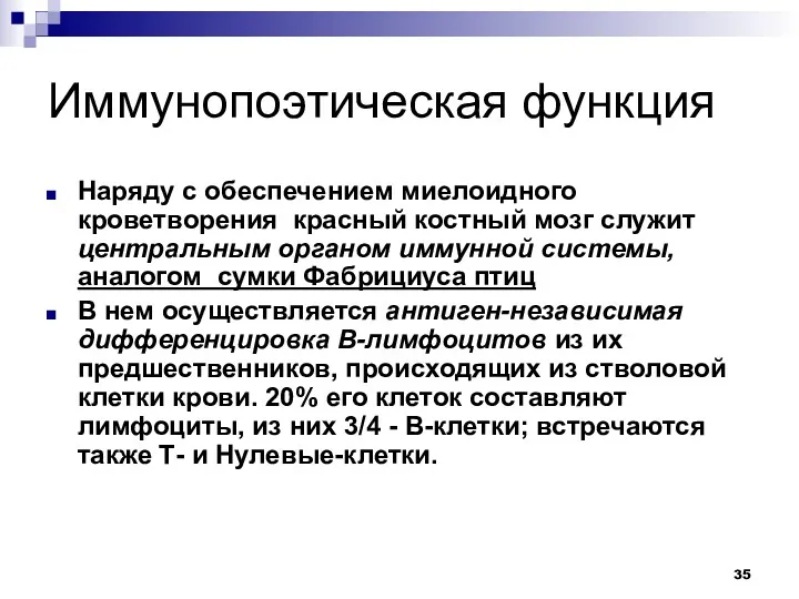 Иммунопоэтическая функция Наряду с обеспечением миелоидного кроветворения красный костный мозг