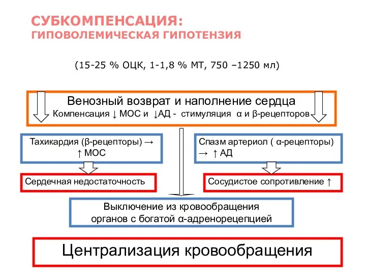 (15-25 % ОЦК, 1-1,8 % МТ, 750 –1250 мл) СУБКОМПЕНСАЦИЯ: ГИПОВОЛЕМИЧЕСКАЯ ГИПОТЕНЗИЯ