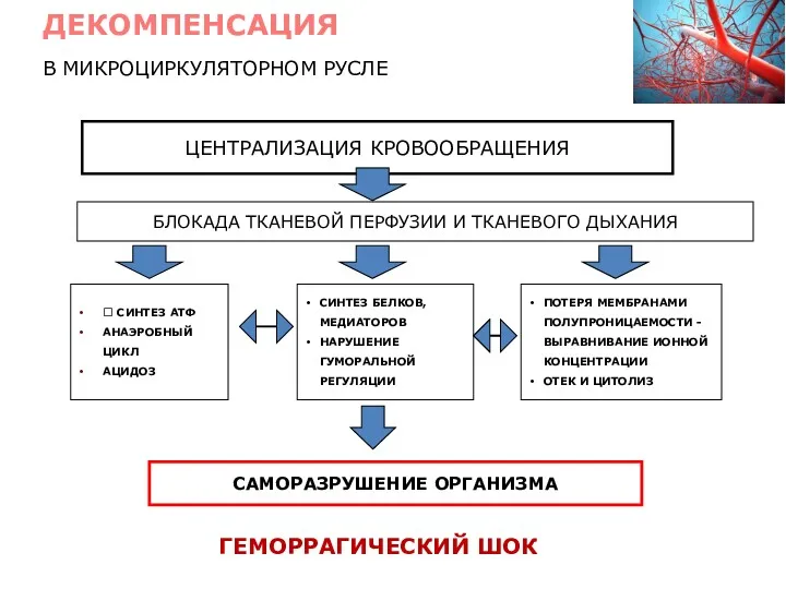 В МИКРОЦИРКУЛЯТОРНОМ РУСЛЕ ГЕМОРРАГИЧЕСКИЙ ШОК ДЕКОМПЕНСАЦИЯ