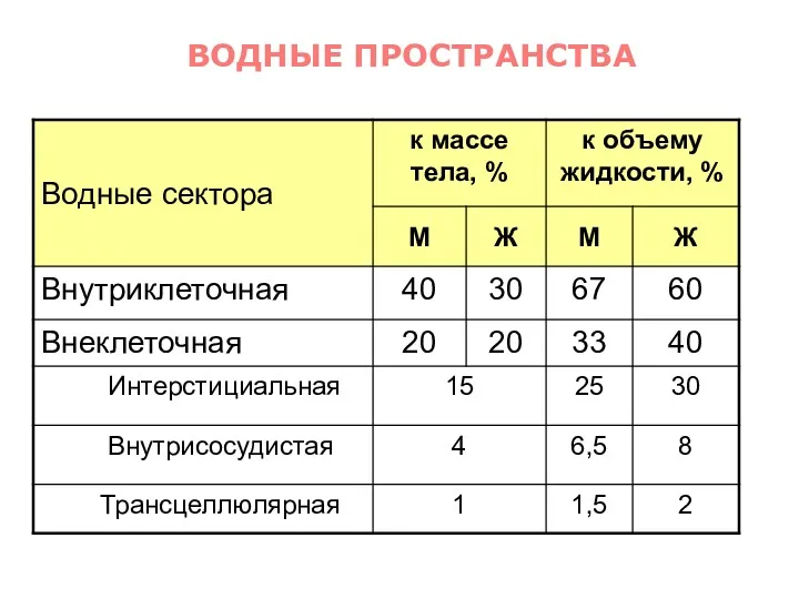 ВОДНЫЕ ПРОСТРАНСТВА