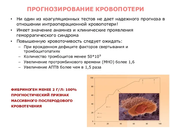 Bombeli T.and Spahn D. R.Updates in perioperative coagulation: physiology and