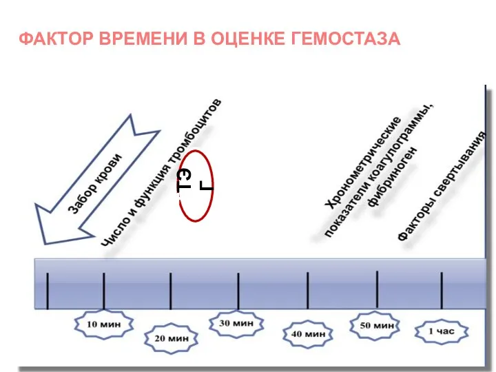 ФАКТОР ВРЕМЕНИ В ОЦЕНКЕ ГЕМОСТАЗА ТТЭГ