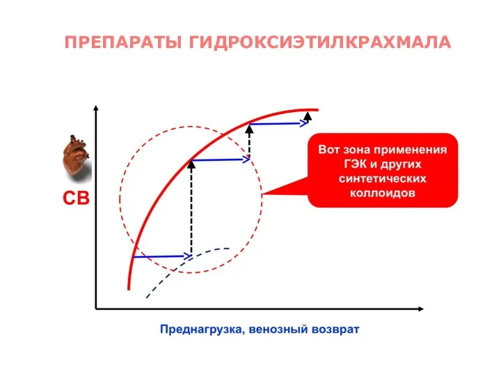 ПРЕПАРАТЫ ГИДРОКСИЭТИЛКРАХМАЛА