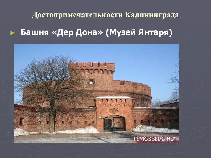 Достопримечательности Калининграда Башня «Дер Дона» (Музей Янтаря)