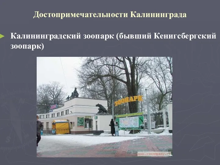 Достопримечательности Калининграда Калининградский зоопарк (бывший Кенигсбергский зоопарк)
