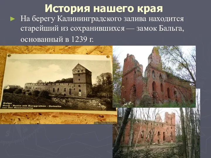 История нашего края На берегу Калининградского залива находится старейший из