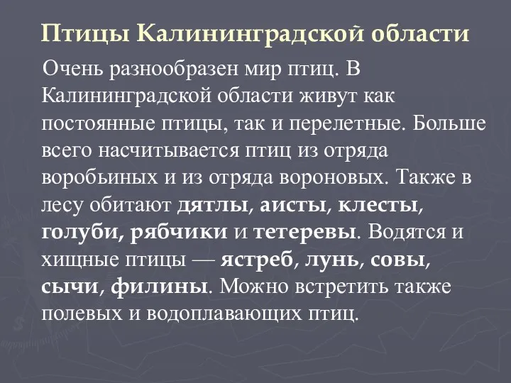 Птицы Калининградской области Очень разнообразен мир птиц. В Калининградской области живут как постоянные