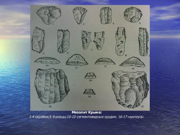 Мезолит Крыма: 1-4-скребки;5-9-резцы;10-13-сегментовидные орудия; 16-17-нуклеусы