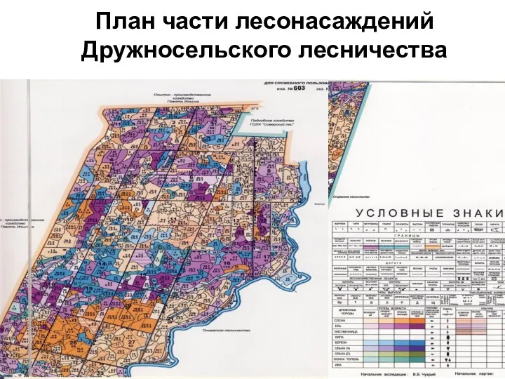 План части лесонасаждений Дружносельского лесничества