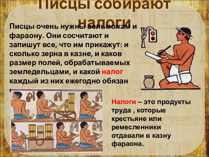 Писцы собирают налоги Писцы очень нужны вельможам и фараону. Они