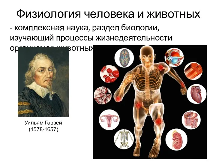 Физиология человека и животных - комплексная наука, раздел биологии, изучающий