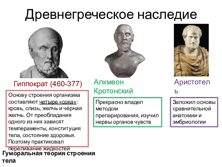Древнегреческое наследие Гиппократ (460-377) Основу строения организма составляют четыре «сока»: