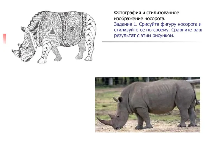 Фотография и стилизованное изображение носорога. Задание 1. Срисуйте фигуру носорога