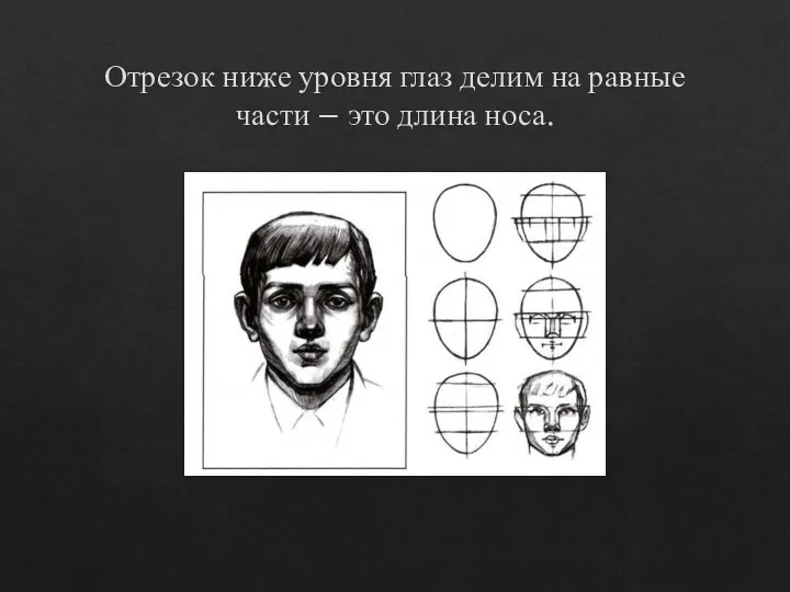 Отрезок ниже уровня глаз делим на равные части – это длина носа.