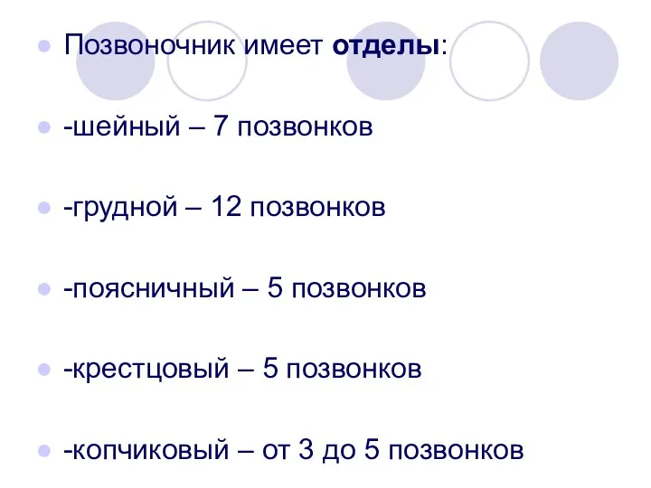 Позвоночник имеет отделы: -шейный – 7 позвонков -грудной – 12