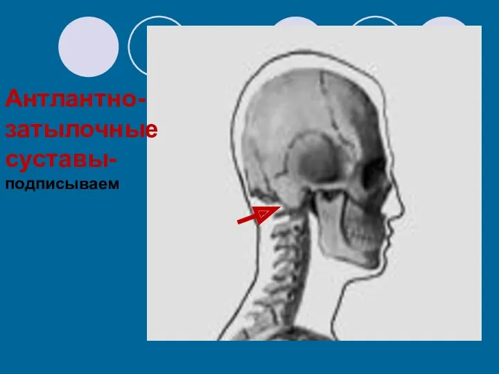 Антлантно-затылочные суставы-подписываем