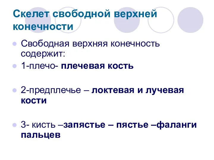 Скелет свободной верхней конечности Свободная верхняя конечность содержит: 1-плечо- плечевая