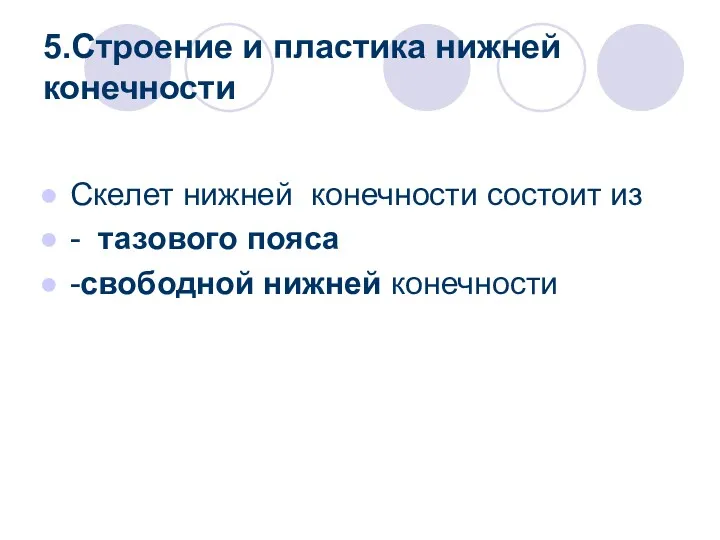 5.Строение и пластика нижней конечности Скелет нижней конечности состоит из - тазового пояса -свободной нижней конечности