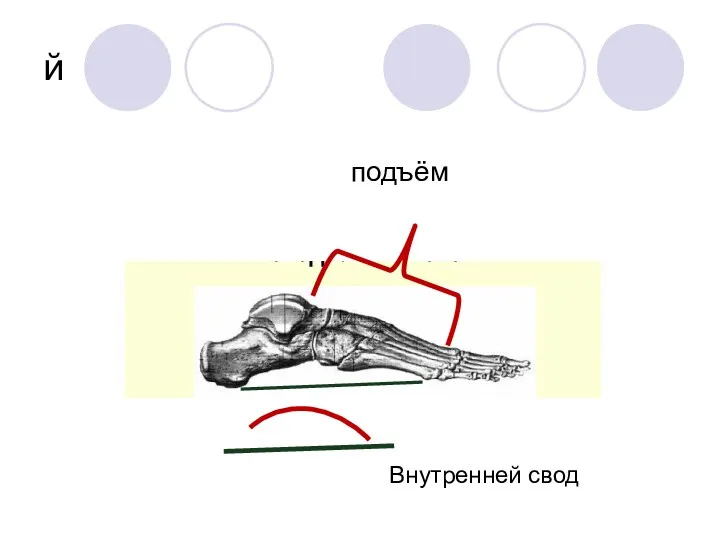 й подъём Внутренней свод