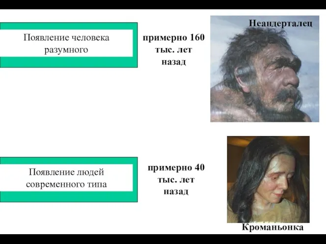 Появление человека разумного примерно 160 тыс. лет назад Неандерталец Появление людей современного типа