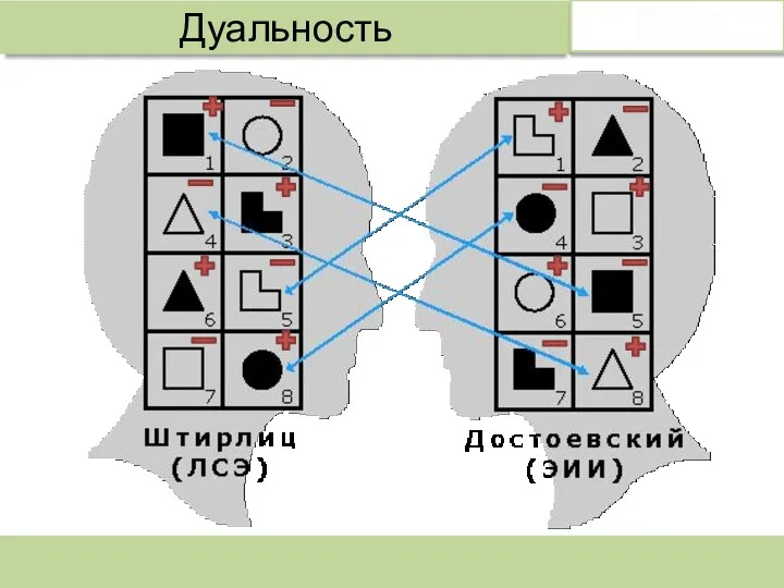 Дуальность ЛСЭ