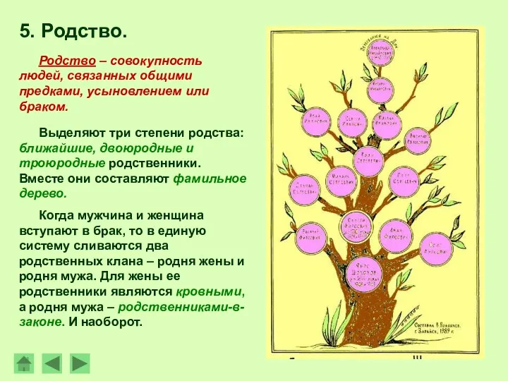 5. Родство. Выделяют три степени родства: ближайшие, двоюродные и троюродные