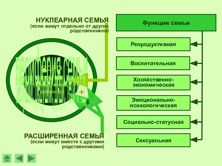 периферия семьи НУКЛЕАРНАЯ СЕМЬЯ (если живут отдельно от других родственников)