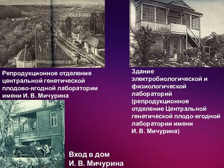 Репродукционное отделение центральной генетической плодово-ягодной лаборатории имени И. В. Мичурина