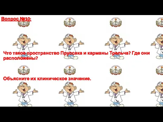 Вопрос №10: Что такое пространство Пруссака и карманы Трельча? Где они расположены? Объясните их клиническое значение.