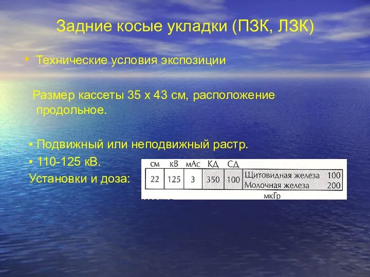 Задние косые укладки (ПЗК, ЛЗК) Технические условия экспозиции Размер кассеты