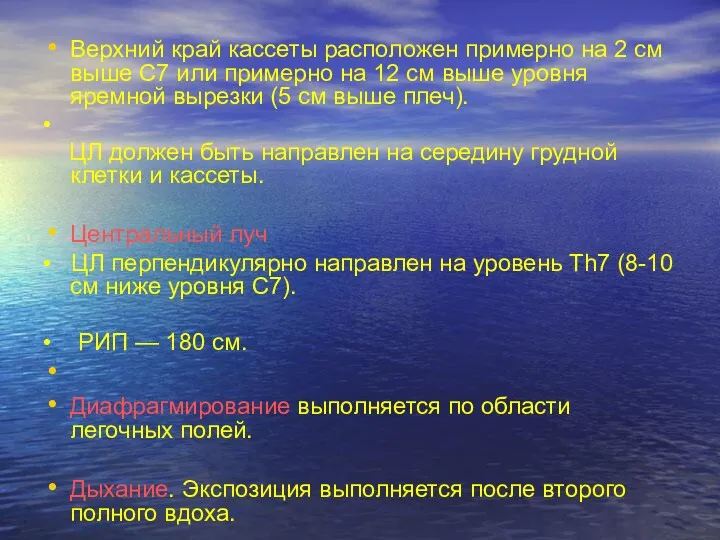 Верхний край кассеты расположен примерно на 2 см выше С7