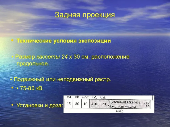 Задняя проекция Технические условия экспозиции • Размер кассеты 24 х