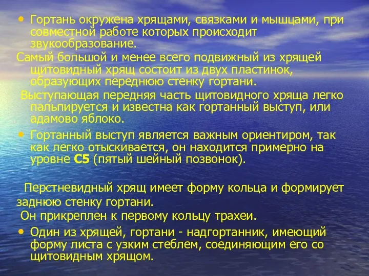 Гортань окружена хрящами, связками и мышцами, при совместной работе которых