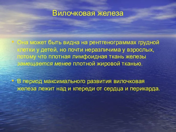 Вилочковая железа Она может быть видна на рентгенограммах грудной клетки