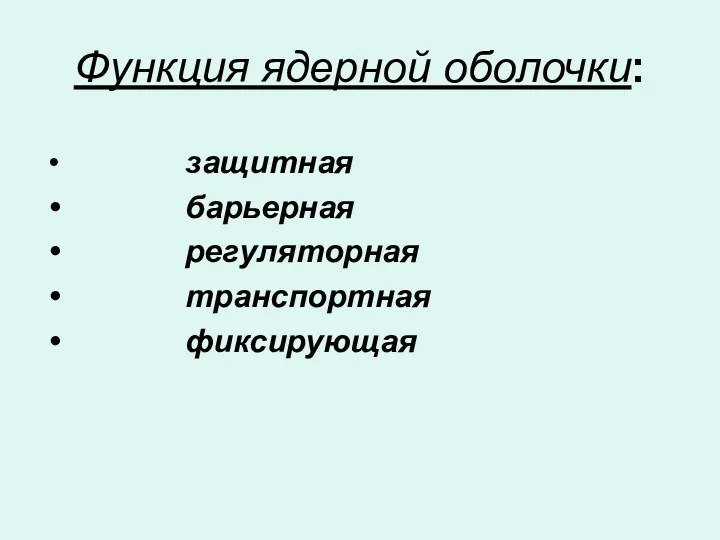 Функция ядерной оболочки: защитная барьерная регуляторная транспортная фиксирующая