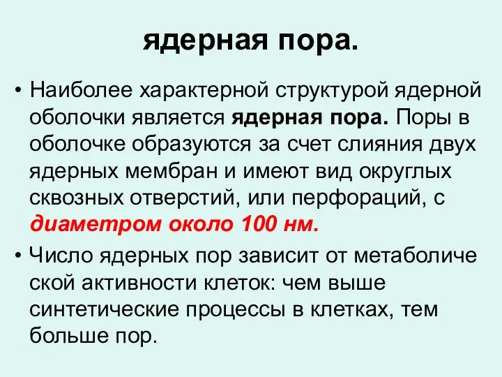 ядерная пора. Наиболее характерной структурой ядерной оболочки является ядерная пора.