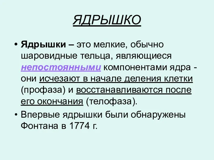 ЯДРЫШКО Ядрышки – это мелкие, обычно шаровидные тельца, являющиеся непостоянными