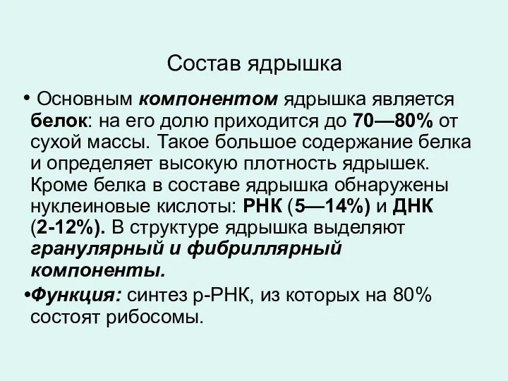 Состав ядрышка Основным компонентом ядрышка является белок: на его долю