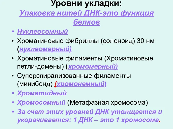 Уровни укладки: Упаковка нитей ДНК-это функция белков Нуклеосомный Хроматиновые фибриллы