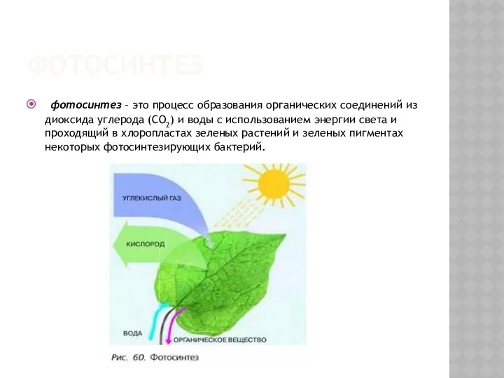 ФОТОСИНТЕЗ фотосинтез – это процесс образования органических соединений из диоксида углерода (СО2) и