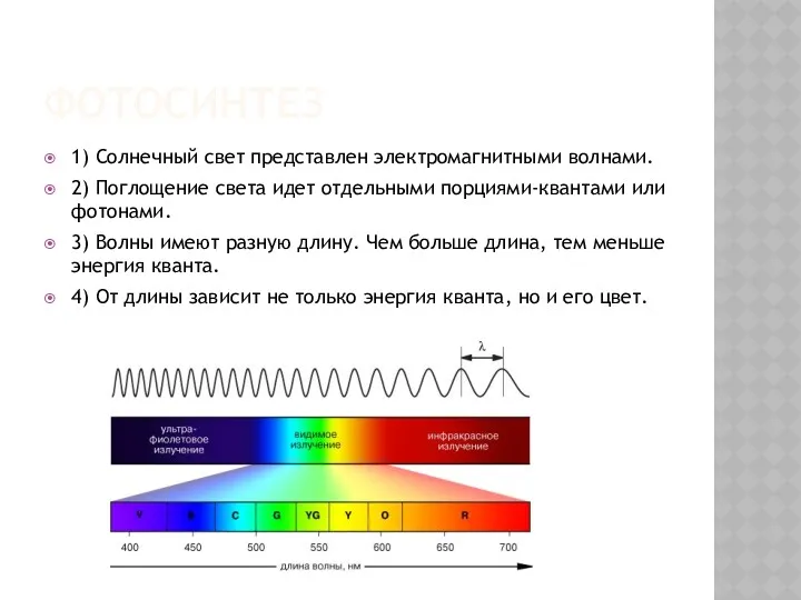 ФОТОСИНТЕЗ 1) Солнечный свет представлен электромагнитными волнами. 2) Поглощение света идет отдельными порциями-квантами